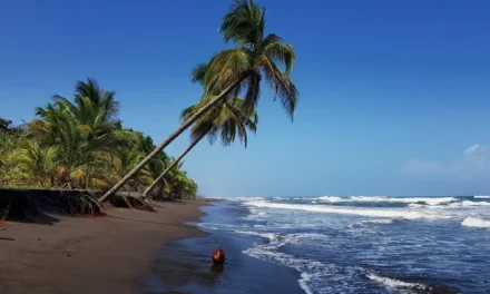 Tortuguero — Kostaryka i piękne karaibskie wybrzeże