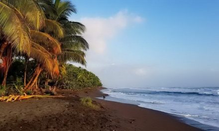 Tortuguero Kostaryka i karaibskie wybrzeże – Zwiedzanie, transport, informacje i atrakcje