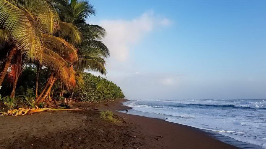 Tortuguero Kostaryka i karaibskie wybrzeże – Zwiedzanie, transport, informacje i atrakcje