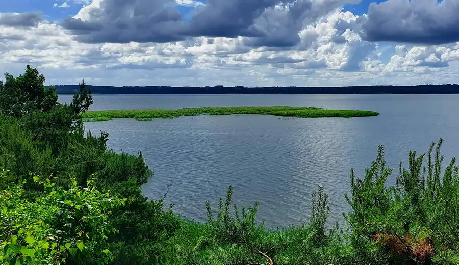 Punkt widokowy na Jezioro Charzykowskie