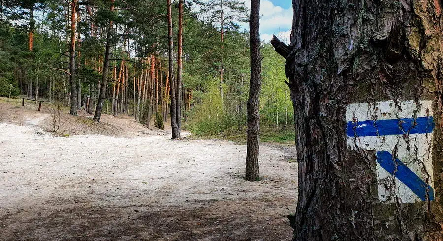 Park Narodowy Bory Tucholskie