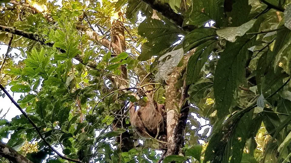 La Fortuna w Kostaryce.