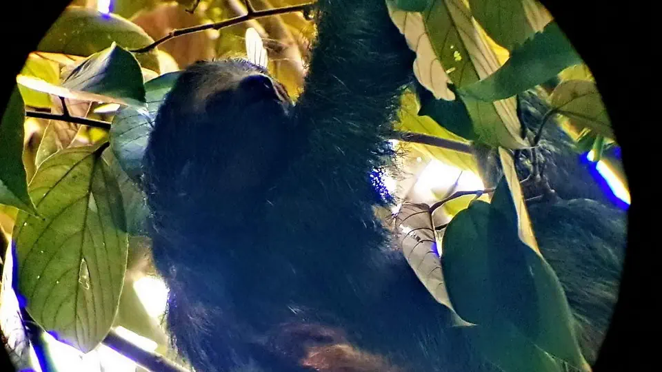La Fortuna w Kostaryce.