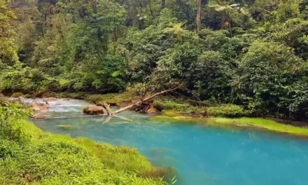 La Fortuna w Kostaryce i okoliczne atrakcje