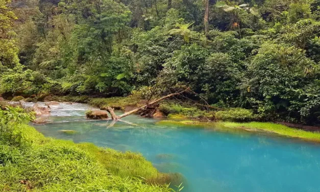 La Fortuna w Kostaryce i okoliczne atrakcje