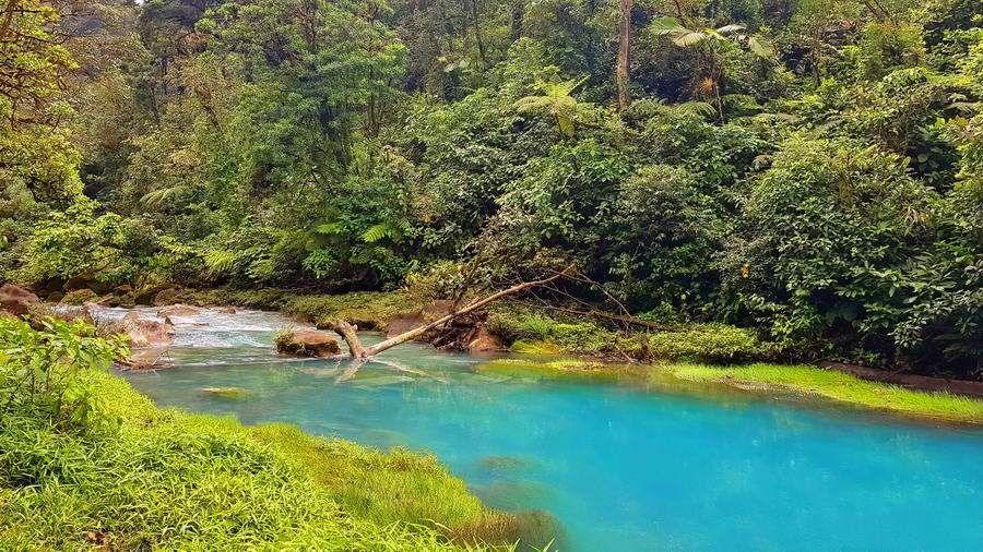 Rio Celeste w okolicach La Fortuna w Kostaryce.