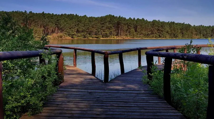 Dawne wyrobiska torfu – Pętla Lipnickiego