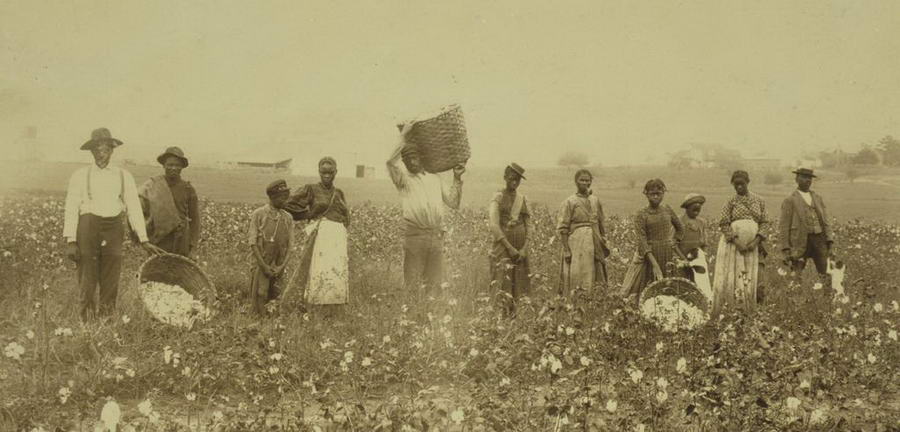 Czarnoskórzy pracownicy z plantacji w Ameryce