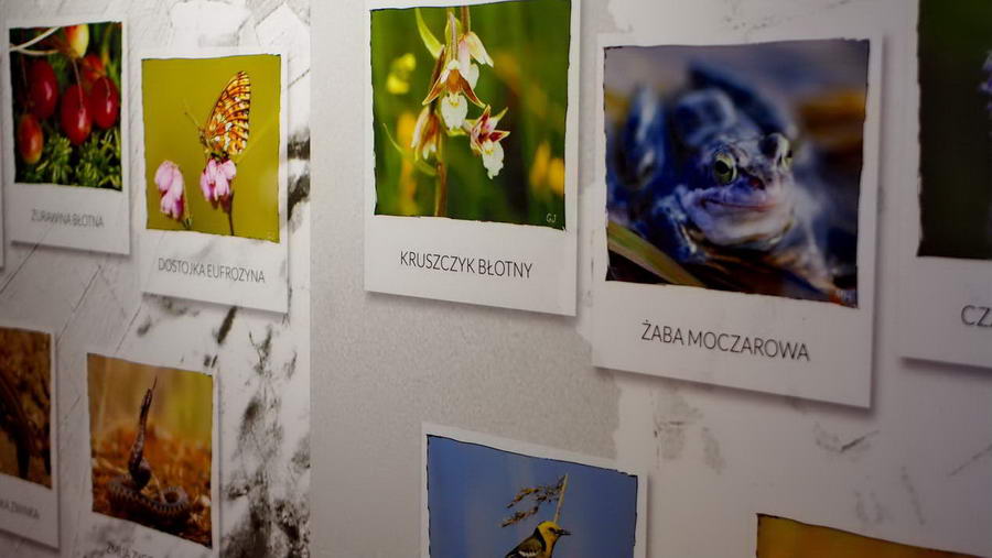 Muzeum Słowińskiego Parku Narodowego w Czołpinie