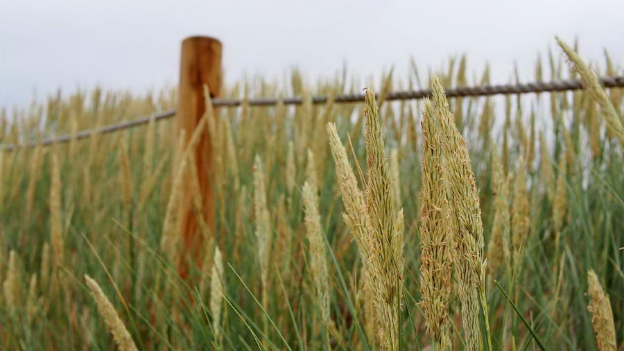 Wydma Czołpińska, latarnia morska i muzeum przepis na udany dzień