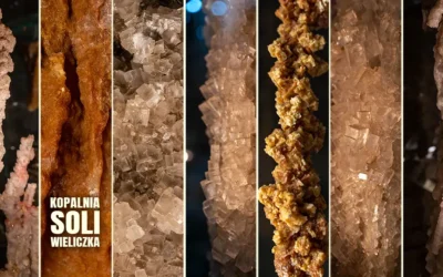 Kopalnia soli w Wieliczce wszystko, co powinieneś wiedzieć