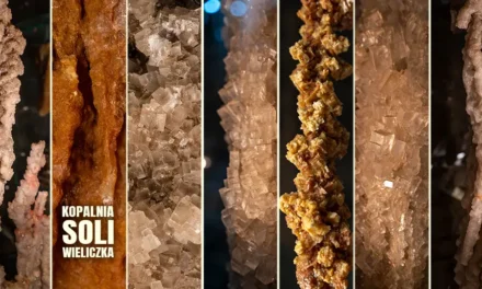 Kopalnia soli w Wieliczce wszystko, co powinieneś wiedzieć