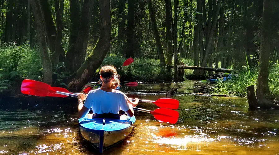 Spływ kajakowy rzeką Brdą to barwna i ciekawa przygoda