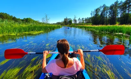 Rzeka Brda i jak zorganizować spływ kajakowy