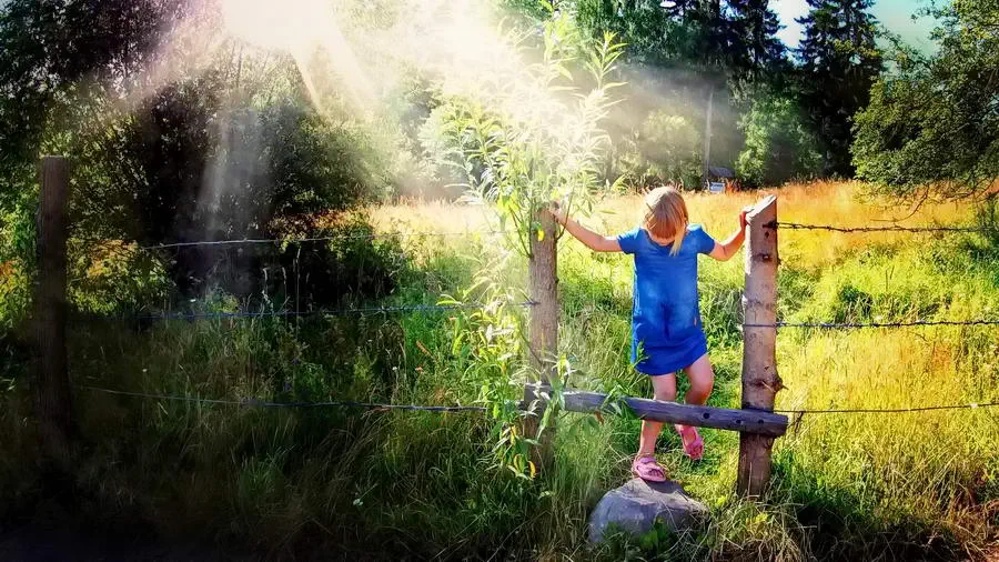 Stół sędziowski w Kochanowie unikat na skalę europejską