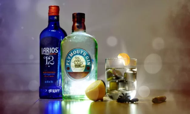 Gin wódka pachnąca jałowcem jej historia, przepisy na drinki i koktajle z ginem oraz ciekawostki