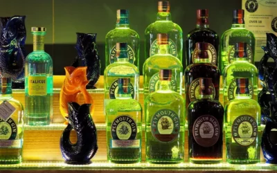 Plymouth Gin najstarsza destylarnia Ginu w Anglii