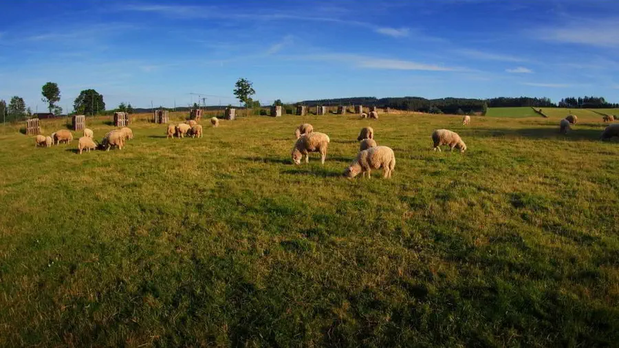 Rezerwat Skały Krasnoludków w Gorzeszowie