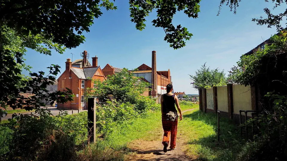 Bridgwater miasto w Somerset Guy Fawkes i inne atrakcje