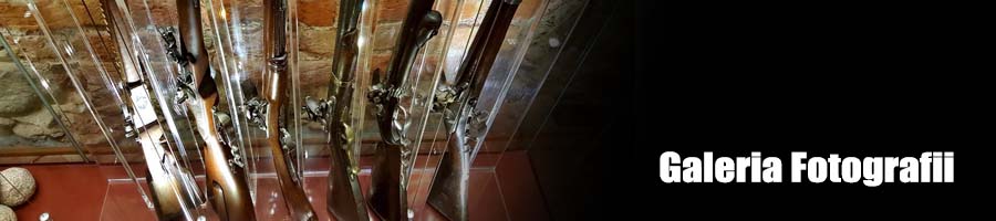 Galeria fotografii bron