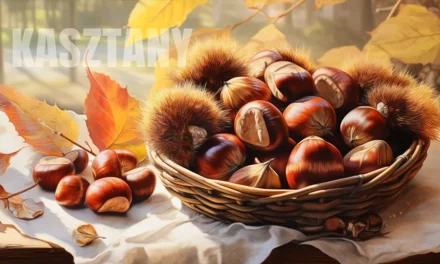 Ciekawostki o kasztanach oraz informacje i zastosowanie