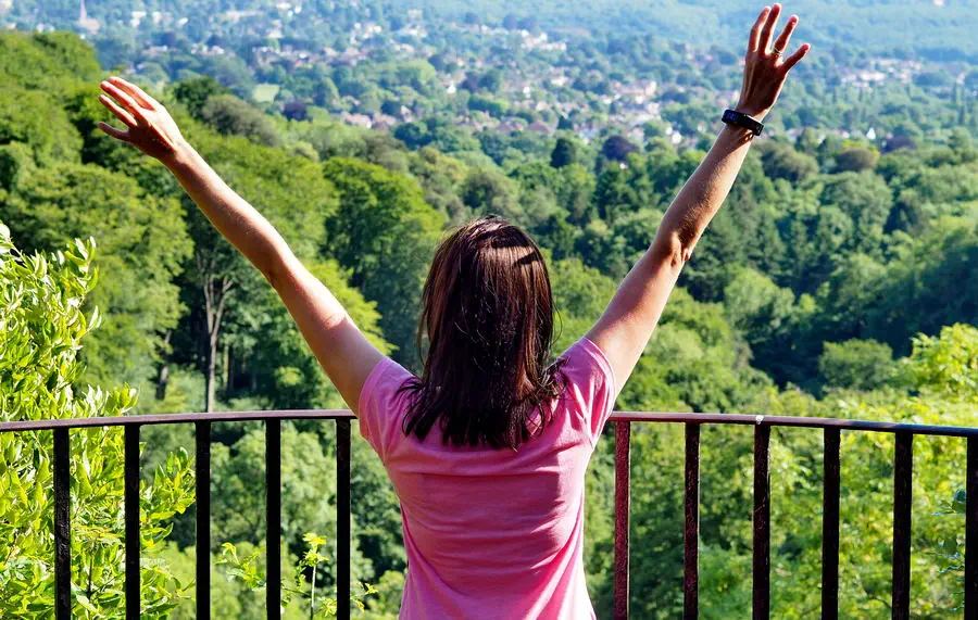 Blaise Castle Estate i wielki park w Bristolu