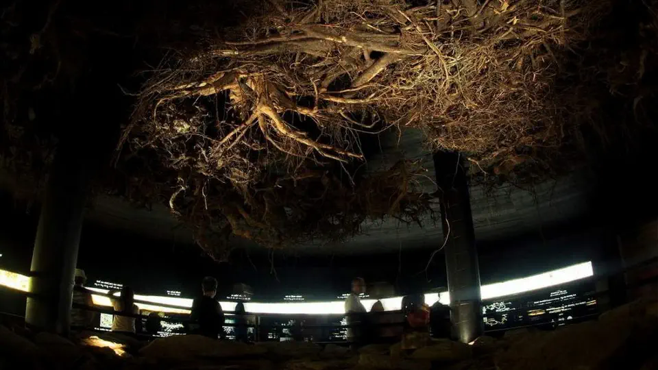 Wieża widokowa w Karkonoszach - Czechy.