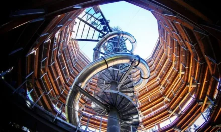 Wieża widokowa w Karkonoszach i spacer w koronach drzew