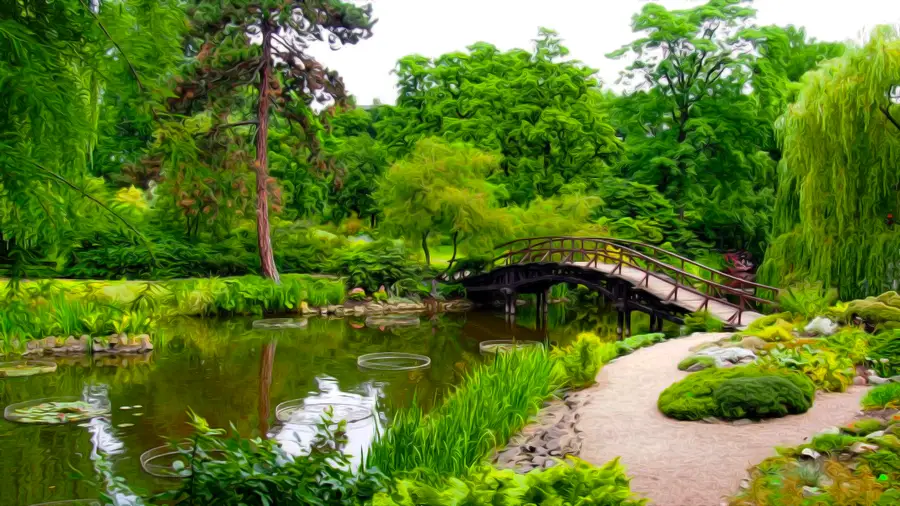 Ogród Botaniczny we Wrocławiu - Staw i most w Parku