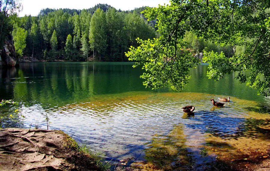 Jezioro w Skalnym Mieście w Adrspach w Czechach