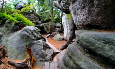 Błędne Skały w Sudetach formacje skalne i inne atrakcje