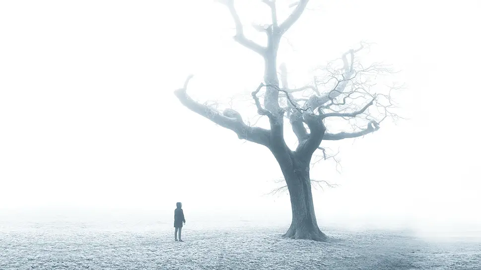 Magdalena Kiżewska w parku pod wielkim drzewem