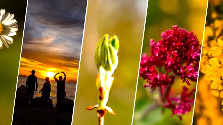 Jare Gody, topienie Marzanny i inne tradycje w pierwszy dzień wiosny