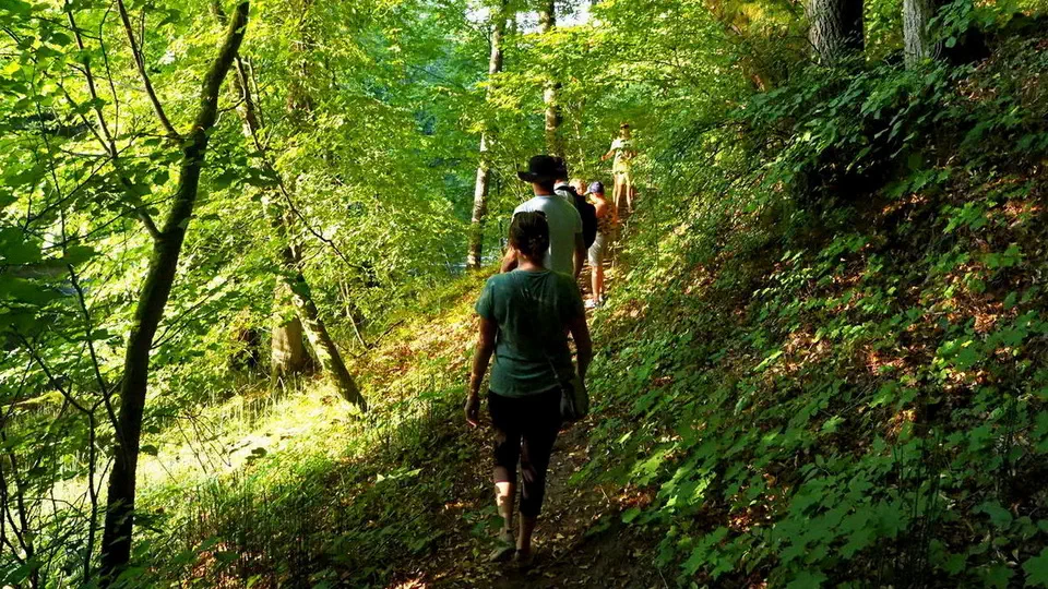 Uroczysko Piekiełko w Borach Tucholskich