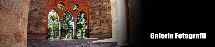 Pałac Marianny Orańskiej - Galeria Fotografii