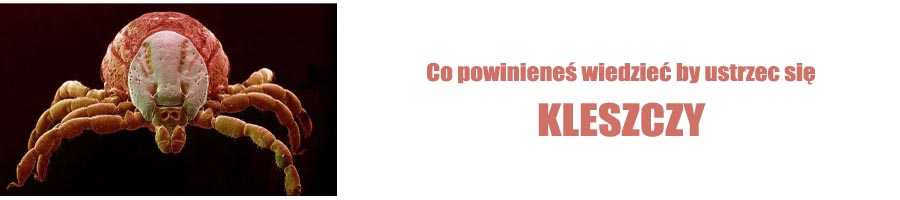 Jak chronić się przed kleszczami