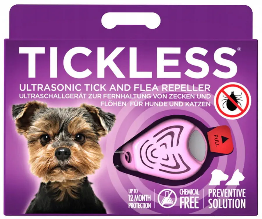 Kleszcze i sposoby ochrony przed kleszczami.