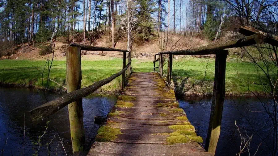 Zaborski Park Krajobrazowy i rzeka Chocina.