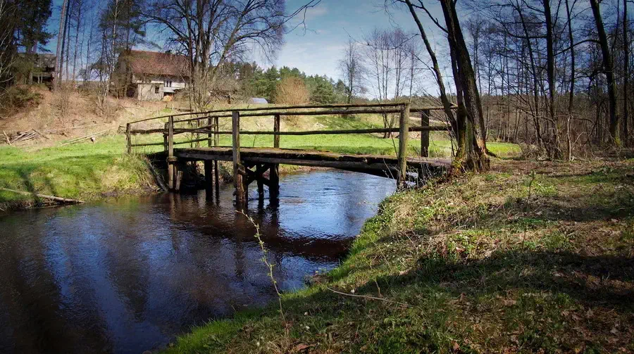 Zaborski Park Krajobrazowy i rzeka Chocina.