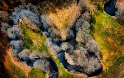 Zaborski Park Krajobrazowy i rzeka Chocina na Kaszubach