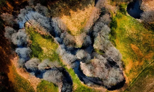 Zaborski Park Krajobrazowy i rzeka Chocina na Kaszubach