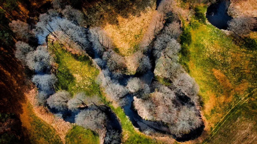 Kręta rzeka Chocina płynąca przez Zaborski Park Krajobrazowy