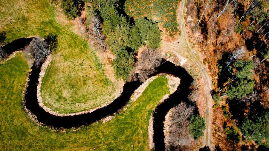 Kręta rzeka Chocina w Zaborskim Parku Krajobrazowym