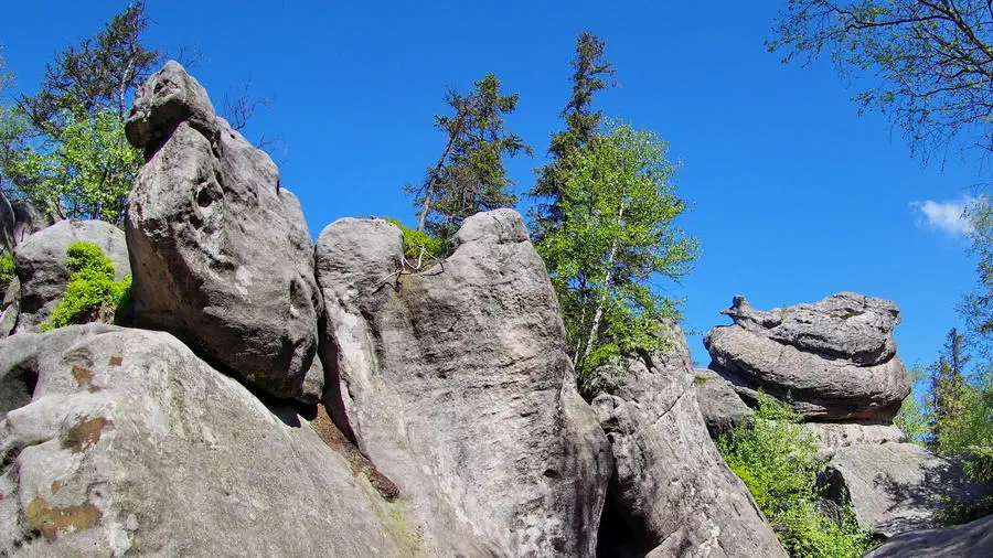 Szczeliniec Wieli formacja skalna książęca kokosza