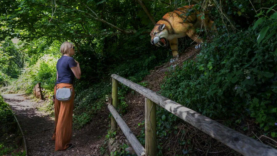 Woodland Trail w jaskiniach Tarquay