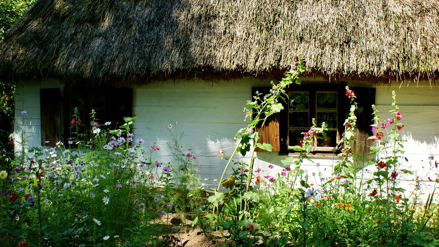 Chłopska chata w ogrodzie pełnym kwiatów