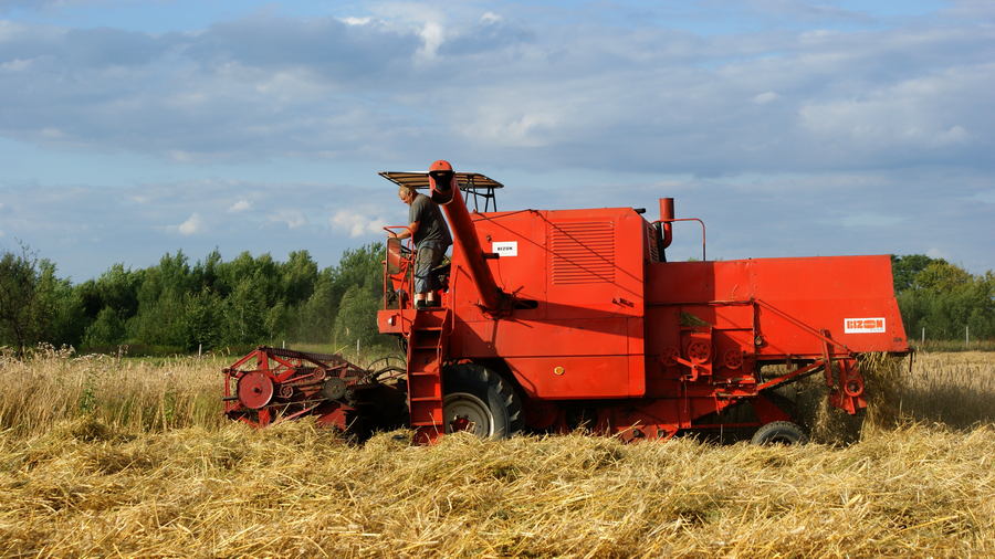 Czerwony kombajn podczas pracy w polu