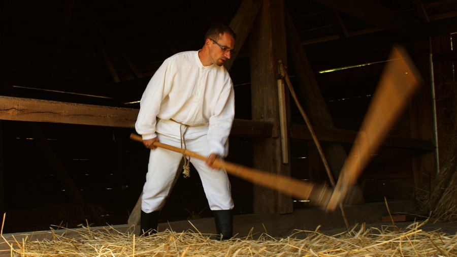 Młocka zboża cepem