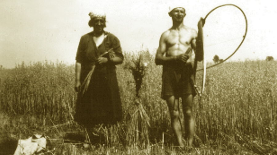 Dawni rolnicy podczas pracy w polu