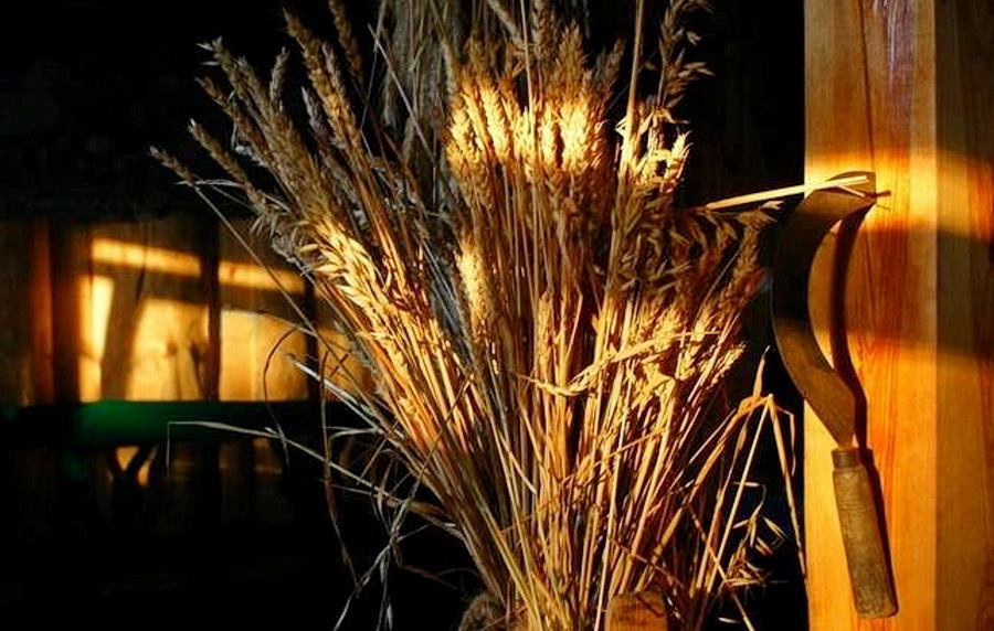 Snopek siana i sierp